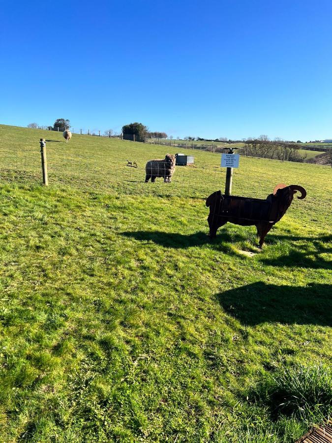 King Richard'S Luxury Lodge - Sleeps Up To 8 ,Dog Friendly ,Near Sherwood Forest At Fairview Farm In Nottingham Set In 88 Acres And Great For Groups,Family Gatherings,Corporate Events Esterno foto